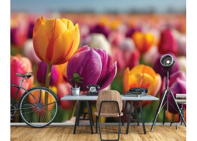 Снимка на фототапет